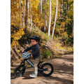 Strider 12 pro black
