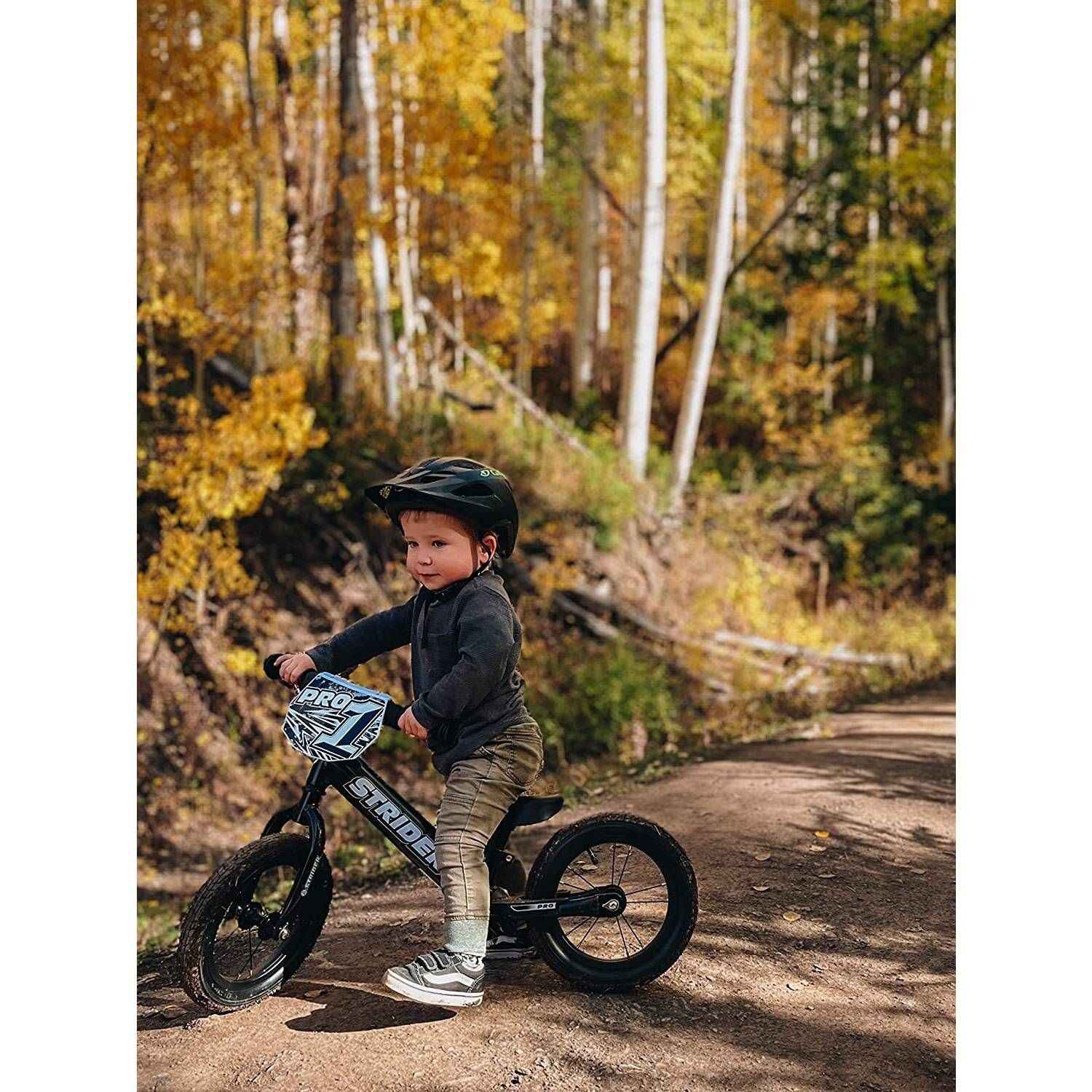 Strider 12 pro black