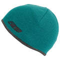 509 Reversible Beanie Emerald Gray